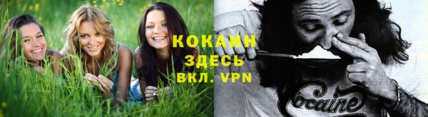 Альфа ПВП Балахна