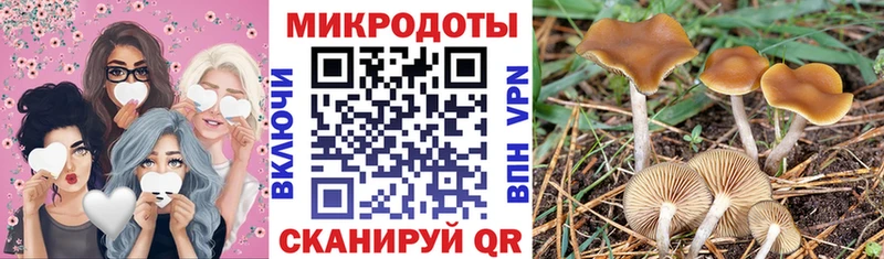 Псилоцибиновые грибы Cubensis  Верхняя Салда 