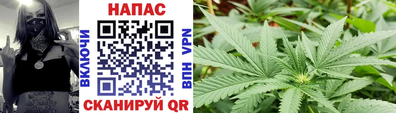 купить закладку  Верхняя Салда  Марихуана гибрид 